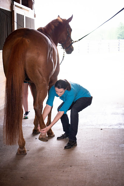 Palmetto Chiropractic Palmetto Chiropractic
