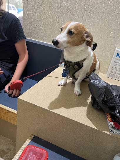 Lake Veterinary Clinic Lake Veterinary Clinic