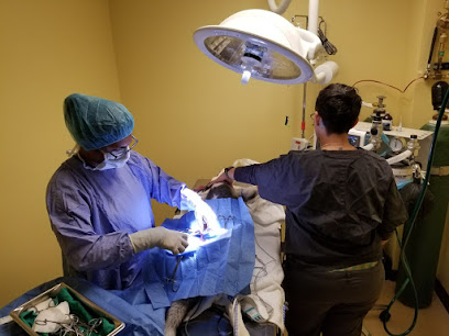 Tender Hearts Animal Hospital