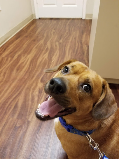 Polo Park Animal Hospital Polo Park Animal Hospital