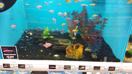 Vet Wellcare Vaccinations Clinic at Pet Supermarket