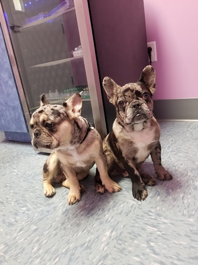 Mayfair Pet Hospital