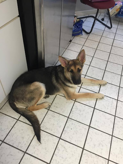 Osceola Animal Clinic