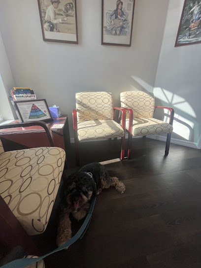 Veterinary Behavior Solutions