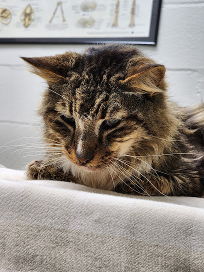 Lake Mary Veterinary Clinic: Porter Amy M DVM