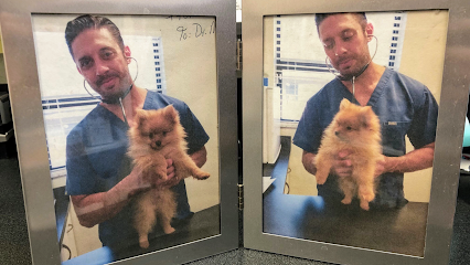 Indian Rocks Beach Animal Hospital