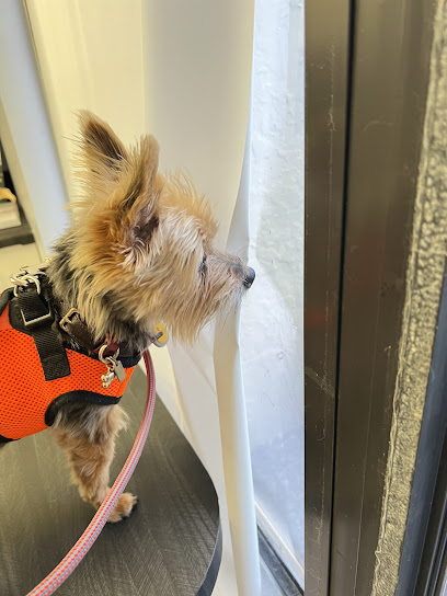 Poinciana Pet Clinic