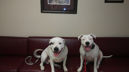Seminole Blvd Animal Hospital Seminole Blvd Animal Hospital