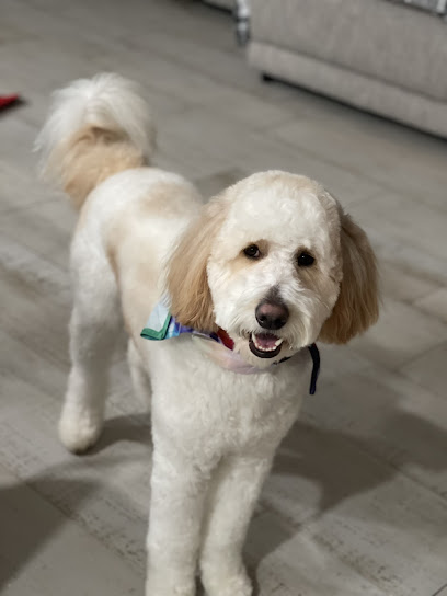 Waterford Lakes Animal Hospital Waterford Lakes Animal Hospital