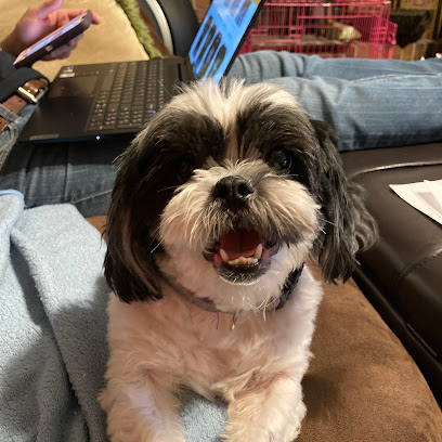 Animal Medical Clinic of Orlando Animal Medical Clinic of Orlando