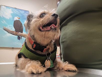 Underhill Animal Hospital Underhill Animal Hospital