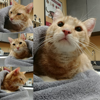 Conway Veterinary Hospital Conway Veterinary Hospital