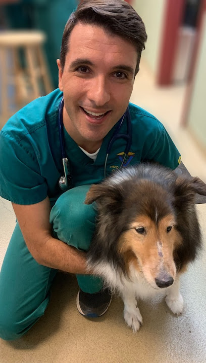 Animal Hospital at Baldwin Park Animal Hospital at Baldwin Park