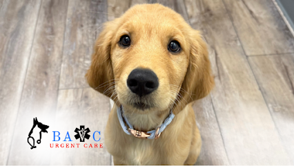 Bay Area Veterinary Care Bay Area Veterinary Care