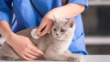 East Orange Animal Hospital East Orange Animal Hospital