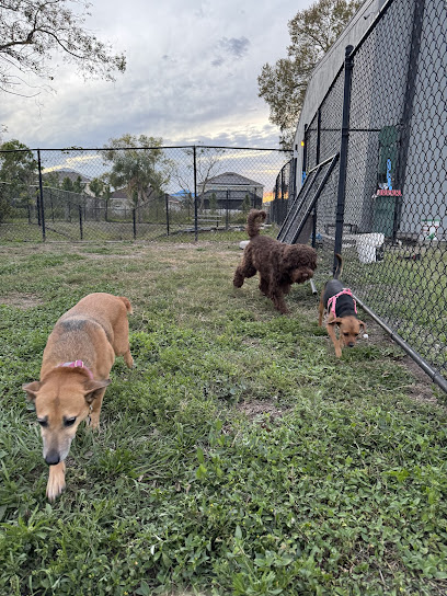 Furry Friends Retreat Furry Friends Retreat