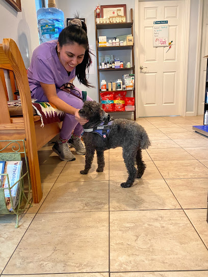 Holistic Veterinary Care of Central Florida Holistic Veterinary Care of Central Florida