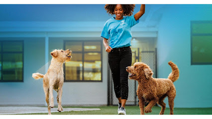 Pet Paradise Sanford Pet Paradise Sanford