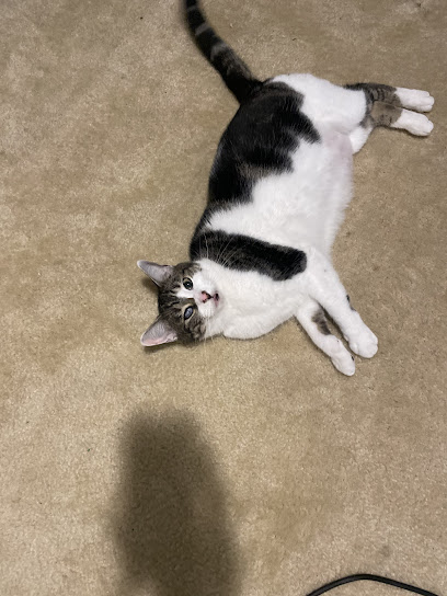 Northwest Veterinary Clinic