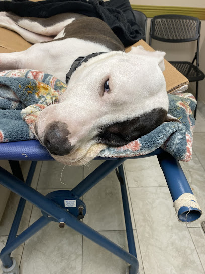 Obt-Orange Ave Pet Doc Hospital Obt-Orange Ave Pet Doc Hospital