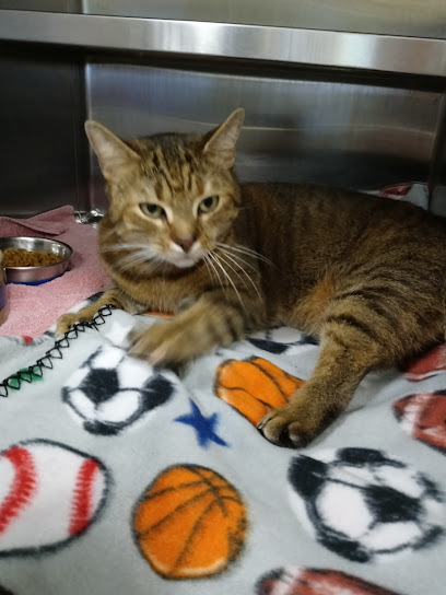 Pet Alliance of Greater Orlando (Sanford Location) Pet Alliance of Greater Orlando (Sanford Location)