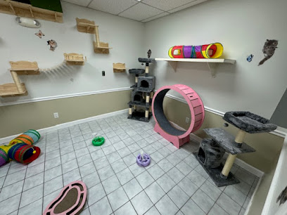 Paws & Claws Pet Boarding and Daycare Paws & Claws Pet Boarding and Daycare
