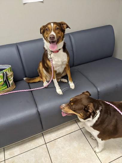 VCA Deltona Boulevard Animal Hospital VCA Deltona Boulevard Animal Hospital