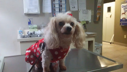 Pine Hills & West Colonial Pet Hospital Pine Hills & West Colonial Pet Hospital