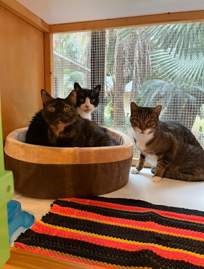 A Country Cat House Tampa A Country Cat House Tampa