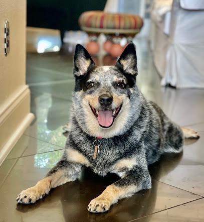 Animal Health Center Animal Health Center