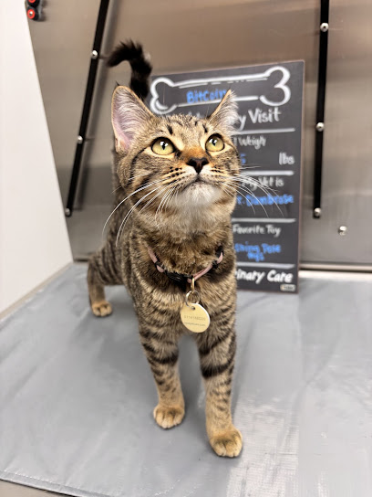 Golden Heart Veterinary Care Golden Heart Veterinary Care