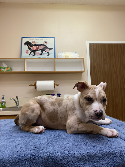 Paws Care Vet Clinic (formerly Murphy Veterinary Clinic) Paws Care Vet Clinic (formerly Murphy Veterinary Clinic)