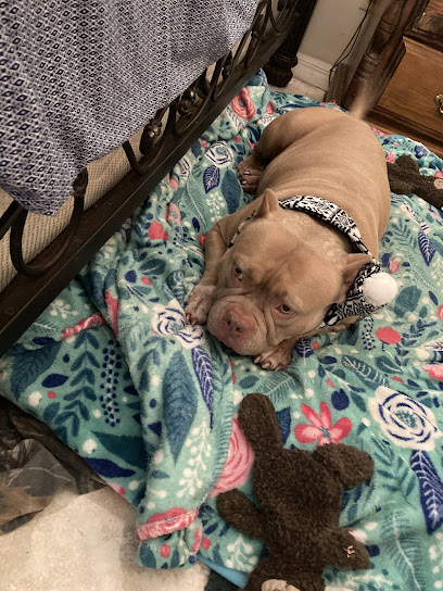 Dr. Glenn Finnell Dr. Glenn Finnell