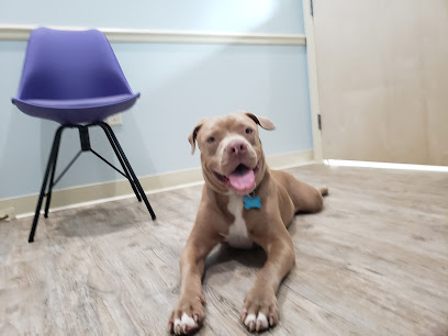 Family Animal Hospital Family Animal Hospital