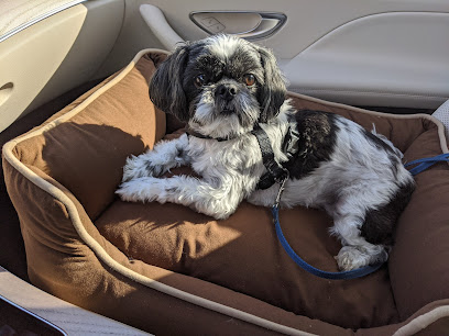 Animal Medical Hospital