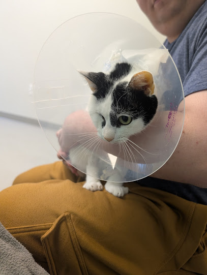 Oviedo Veterinary Care and Emergency Oviedo Veterinary Care and Emergency