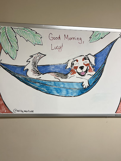 Bayview Animal Hospital