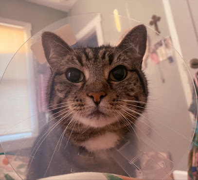 Baycrest Veterinary Hospital