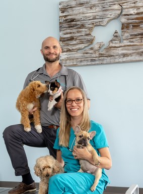 Coastal Animal Clinic – Tampa