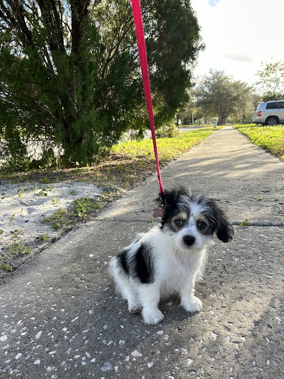 College Park Animal Clinic College Park Animal Clinic