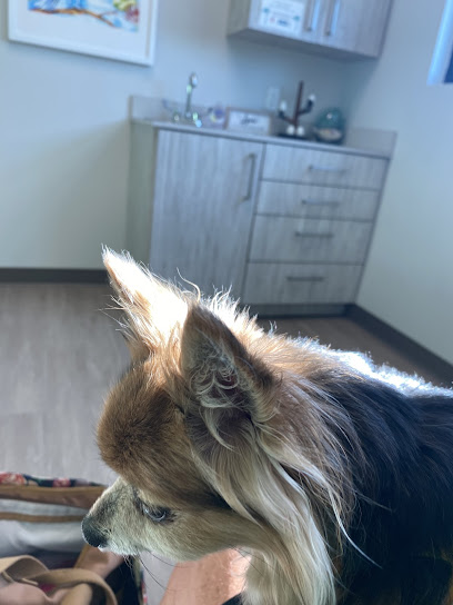 Island Life Animal Hospital