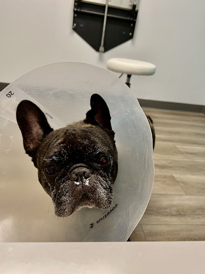 Bay Animal and Aquatic Hospital