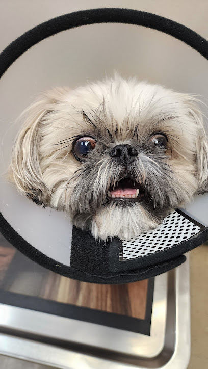 Southpaw Animal Health