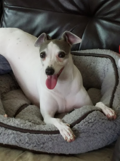 Gulf Animal Hospital