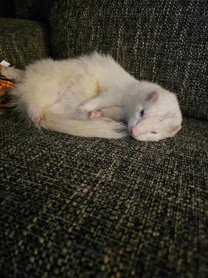 Animal Medical Hospital: Clark Gary R DVM