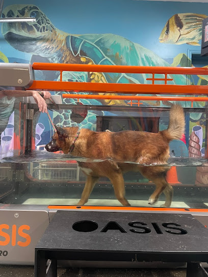 Healing Hands for Pets