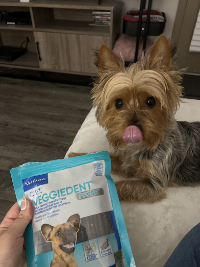 Town N Country Animal Hospital