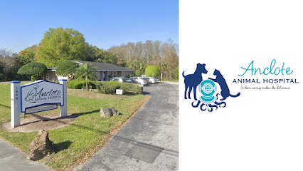 Anclote Animal Hospital Anclote Animal Hospital