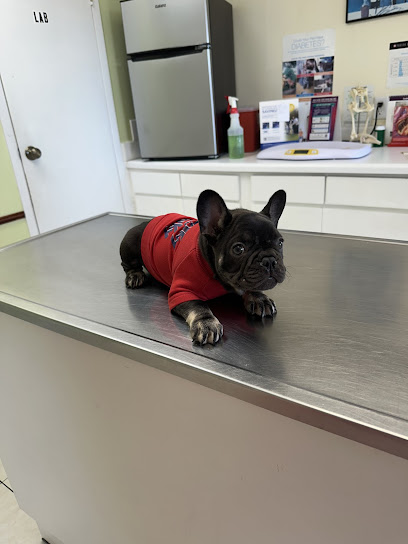 Country Oaks Animal Hospital