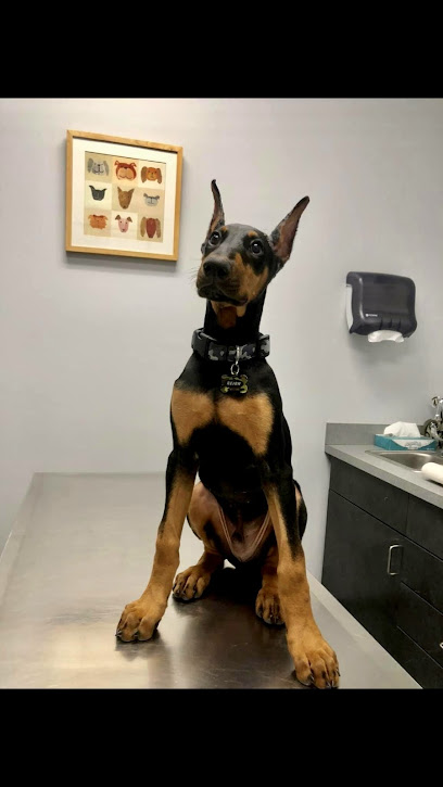 4 Paws Animal Hospital